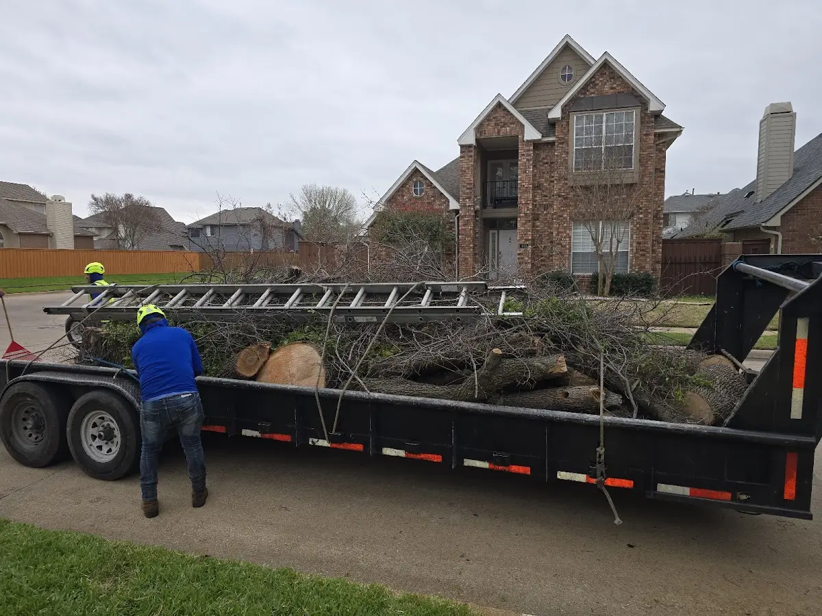 Expert Tree Pest Control with proper safety equipment in Bryn Mawr